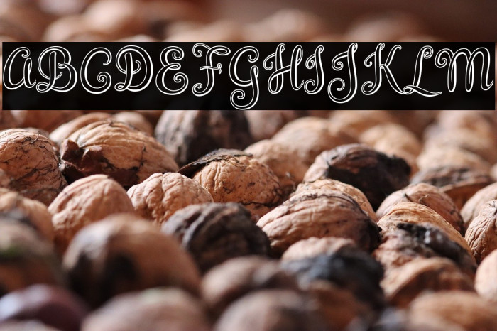 BrazilianScript Example 2