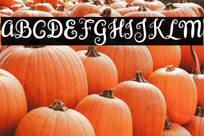 BrazilianScriptFill Example 3