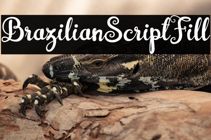 BrazilianScriptFill Example 2