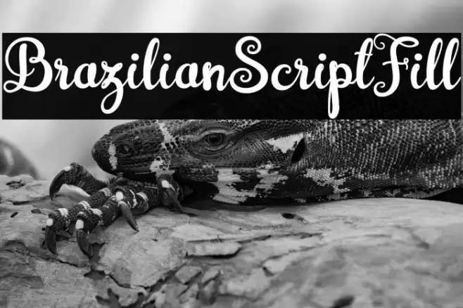 BrazilianScriptFill Font examples