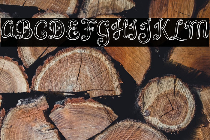 BrazilianScript Example 2