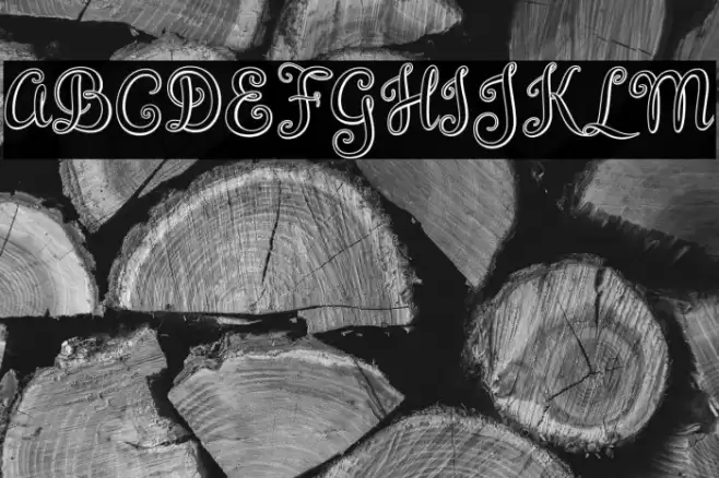 BrazilianScript Font examples