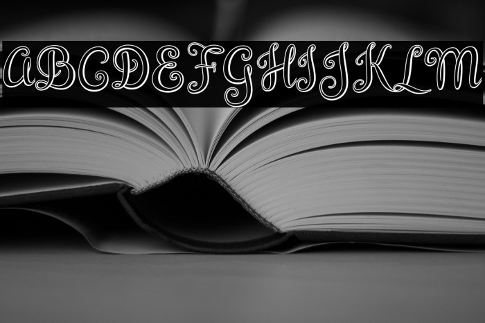 BrazilianScript Example 3