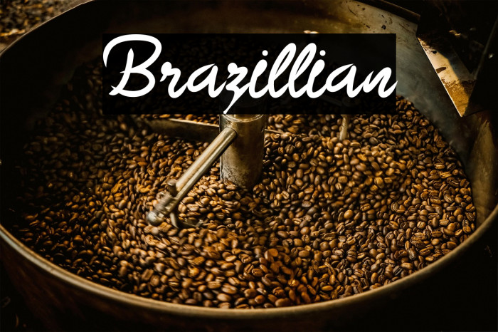 Brazillian Example 1