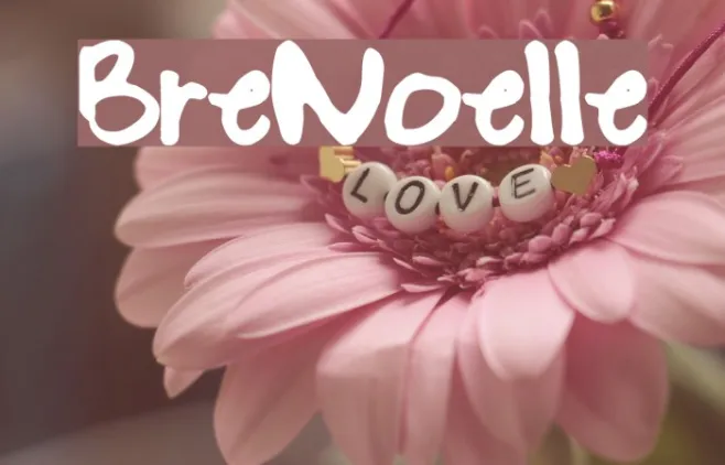 BreNoelle Example 3