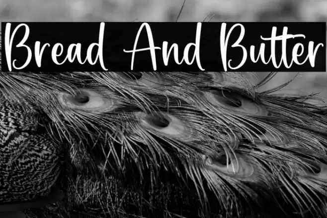 Bread And Butter Font examples