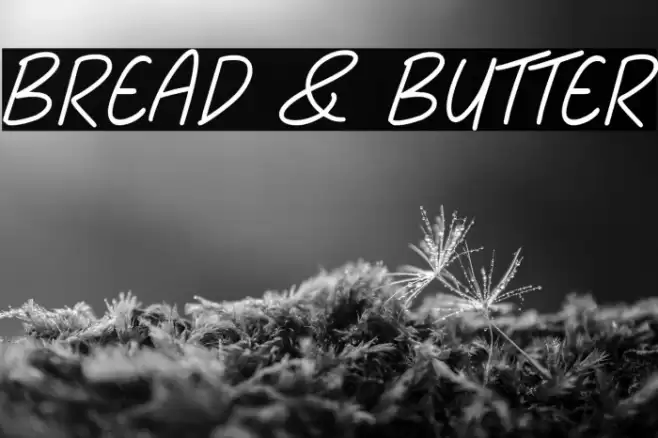Bread & Butter Font examples