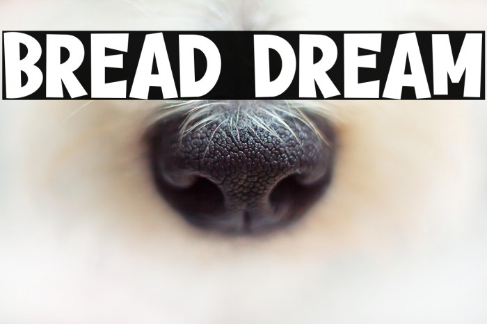 Bread Dream Example 3