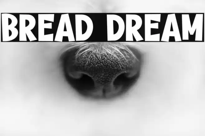 Bread Dream Font examples