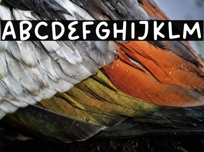 Bread Forest Example 1