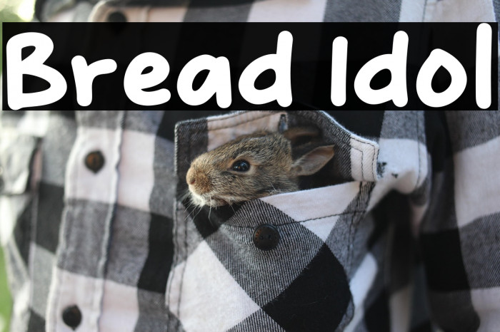 Bread Idol Example 1