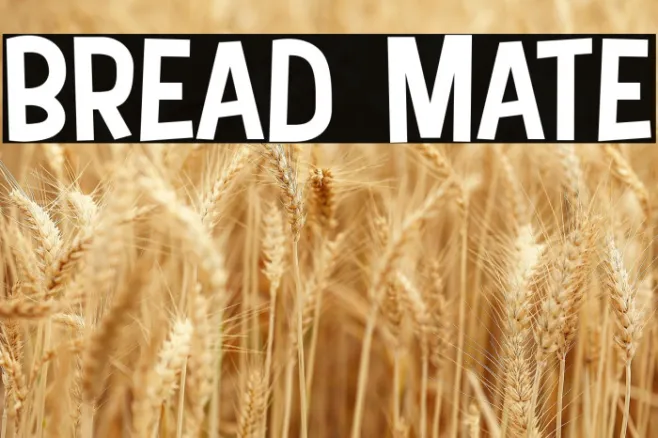 Bread Mate Example 1