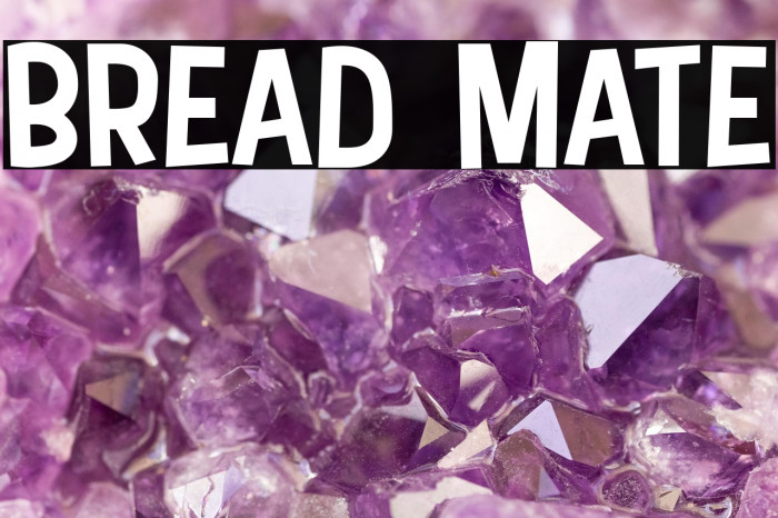 Bread Mate Example 2