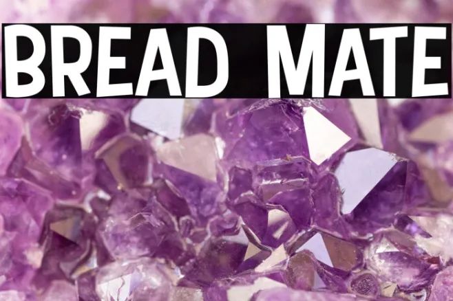 Bread Mate Example 2
