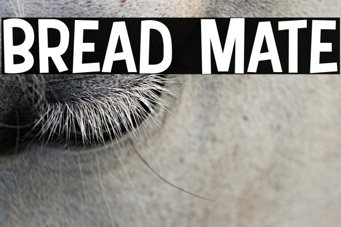 Bread Mate Example 3