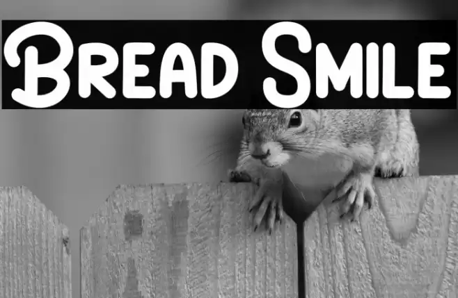 Bread Smile Font examples