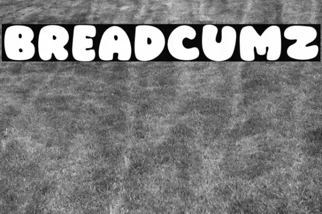 Breadcumz Шрифта examples