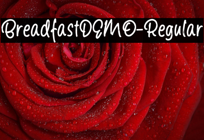 BreadfastDEMO-Regular Example 3