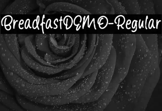 BreadfastDEMO-Regular Font examples