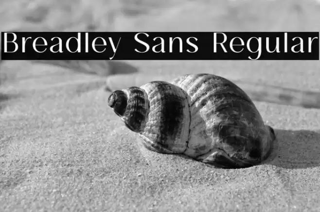 Breadley Sans Regular Font examples