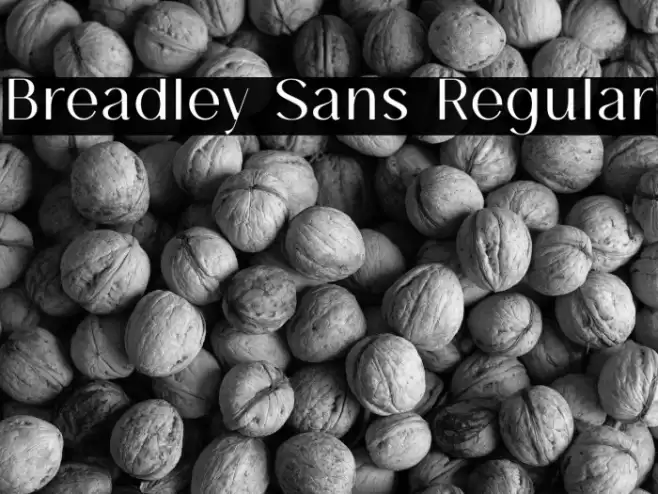 Breadley Sans Regular Font examples