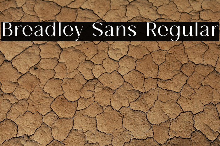 Breadley Sans Regular Example 3