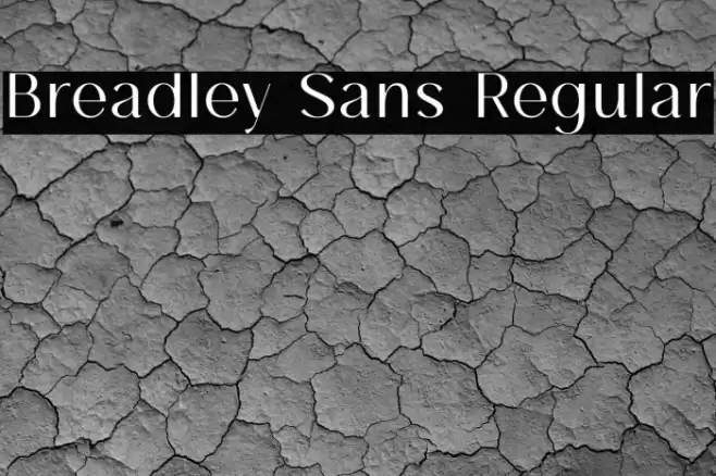 Breadley Sans Regular Font examples