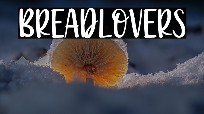 Breadlovers Example 1