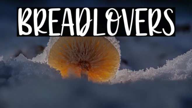 Breadlovers Example 1