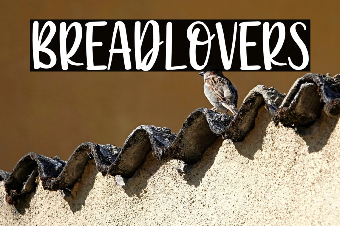 Breadlovers Example 2