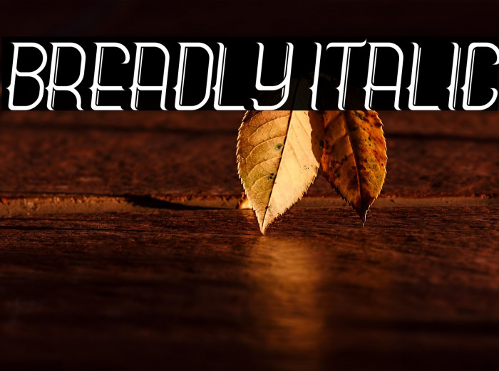 Breadly Italic Example 3