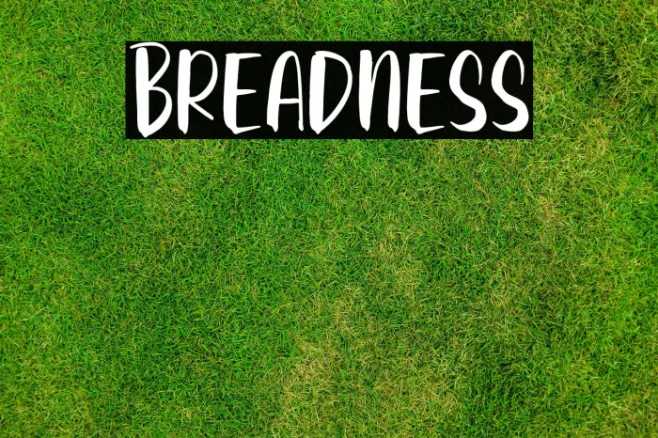 Breadness Example 1