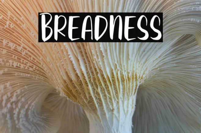 Breadness Example 3