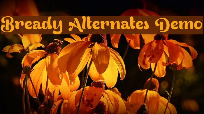 Bready Alternates Demo Font examples