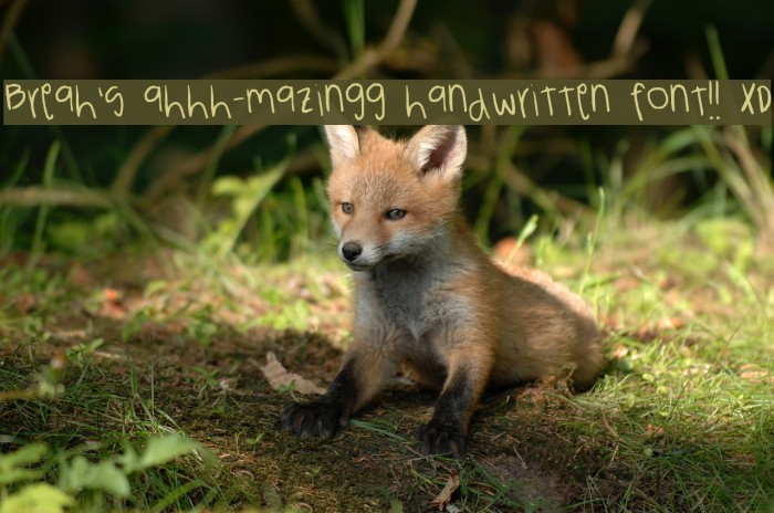 Breah's ahhh-mazingg handwritten font!! XD Font examples