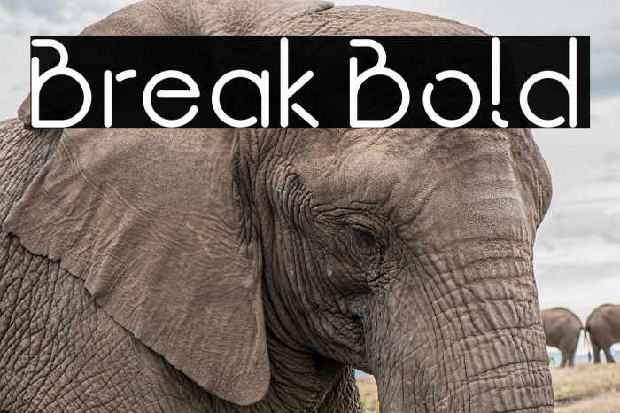 Break Bold Font examples