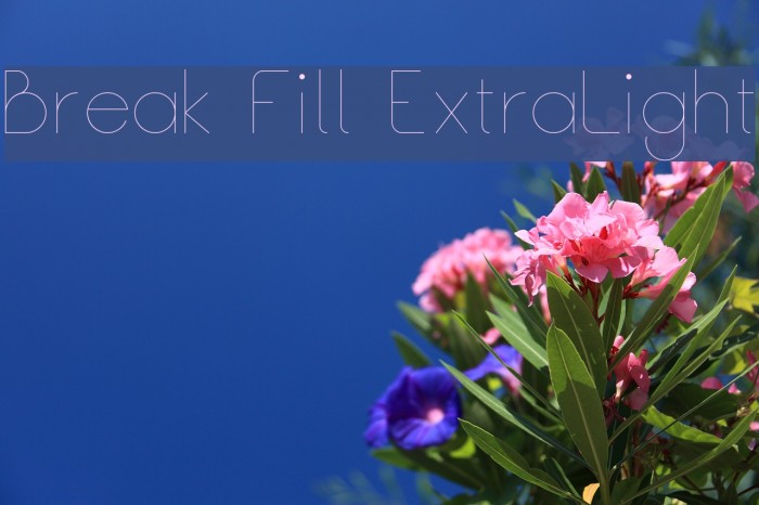 Break Fill ExtraLight Font examples