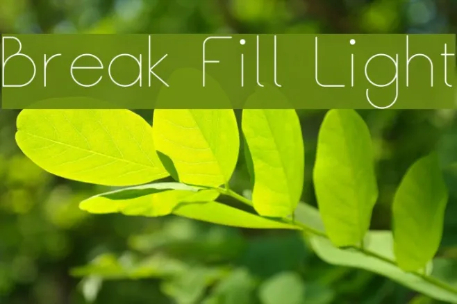 Break Fill Light Example 1