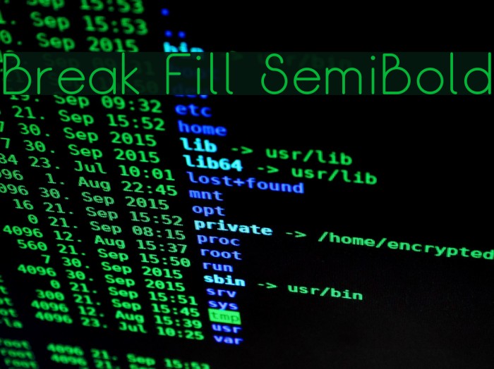 Break Fill SemiBold Font examples