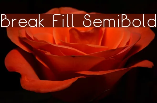 Break Fill SemiBold Example 3