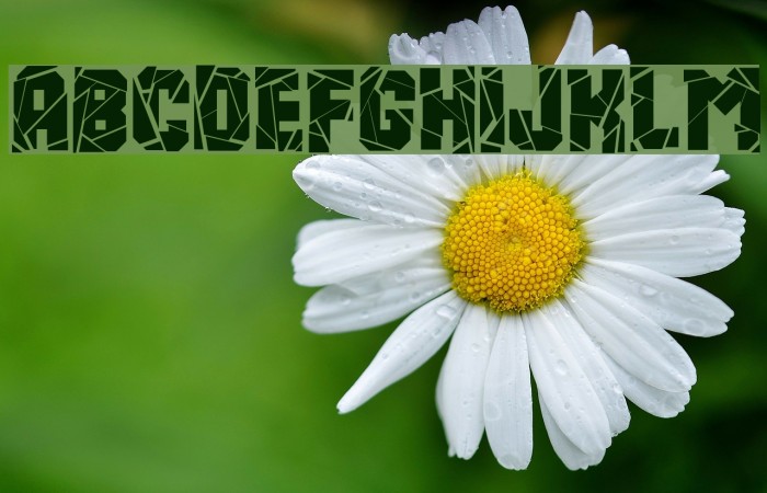 Break It Down Example 1