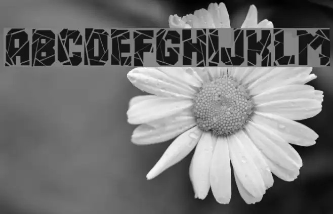 Break It Down Font examples