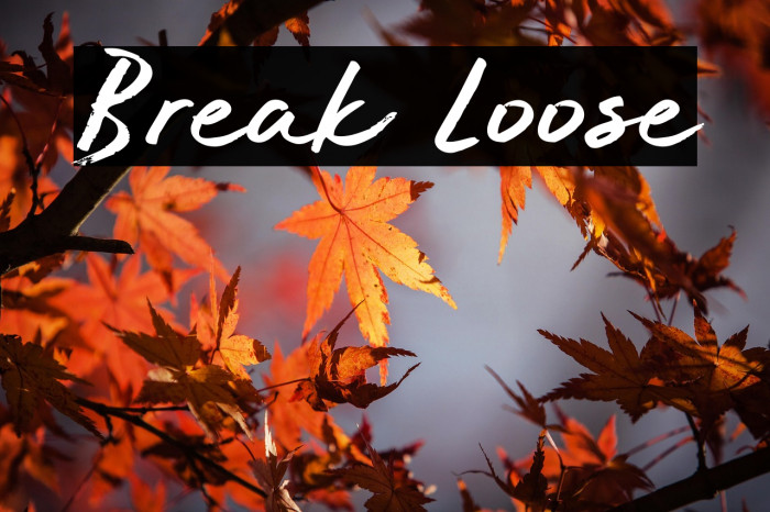 Break Loose Example 1