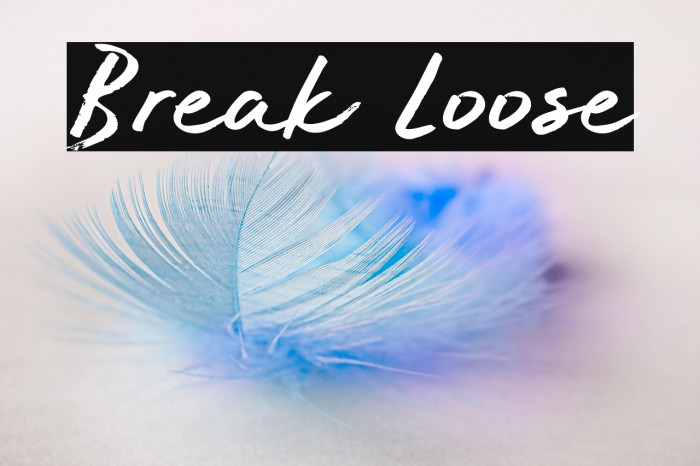 Break Loose Example 3