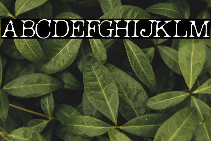 Break Office Example 1