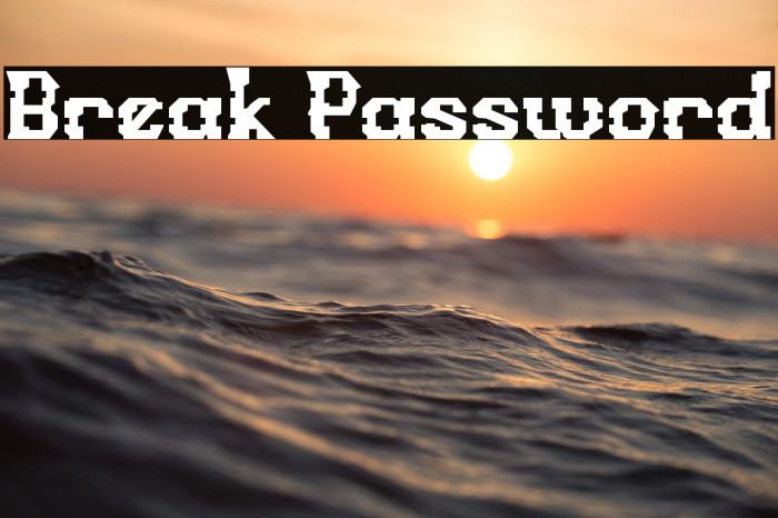 Break Password Example 2