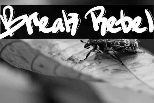 Break Rebel फ़ॉन्ट examples