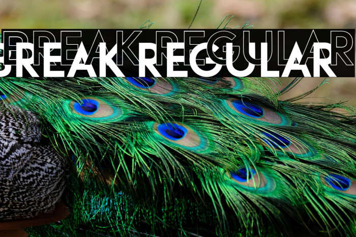 Break Regular Example 1