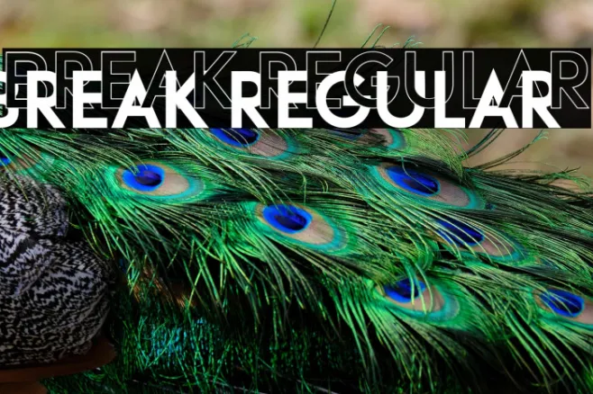 Break Regular Example 1