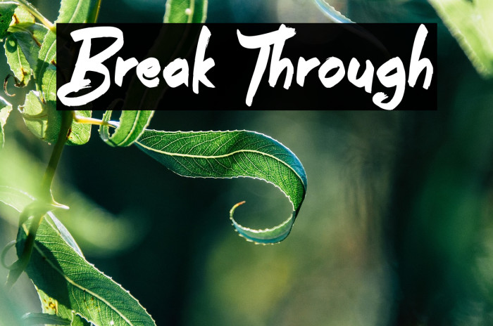 Break Through Schriftart examples